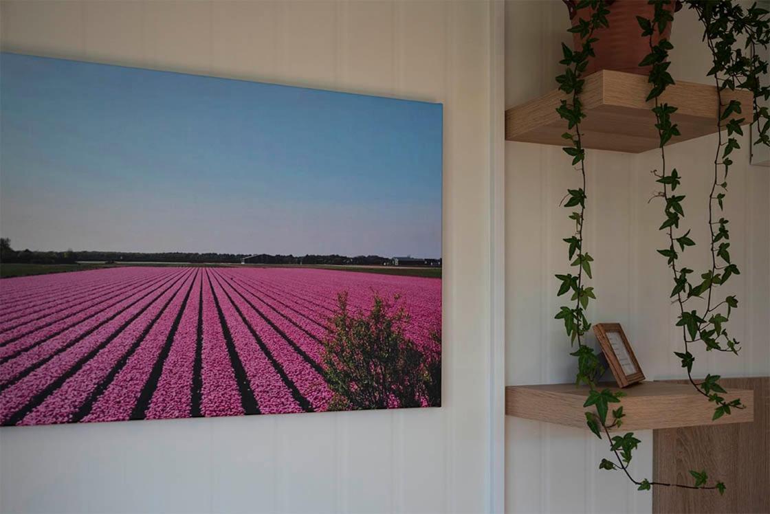 Bed and Breakfast Bloem & Bed 't Zand Exterior foto