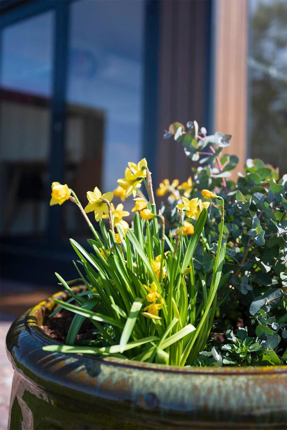 Bed and Breakfast Bloem & Bed 't Zand Exterior foto